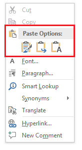 Paste Options Menu