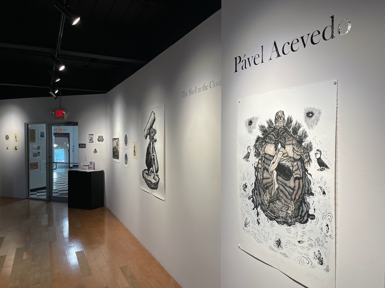 Pável Acevedo exhibit