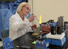 Student at lab putting sample under bunsen burner