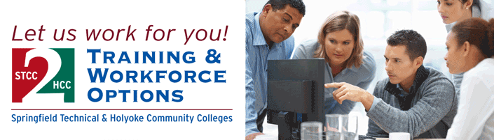 Training & Workforce Options (TWO)